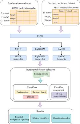 Identifying anal and cervical tumorigenesis-associated methylation signaling with machine learning methods